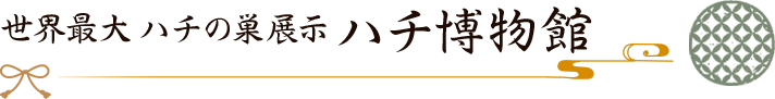 はち博物館